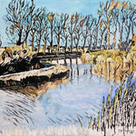Collection Béziers "Le canal du Midi en hiver"